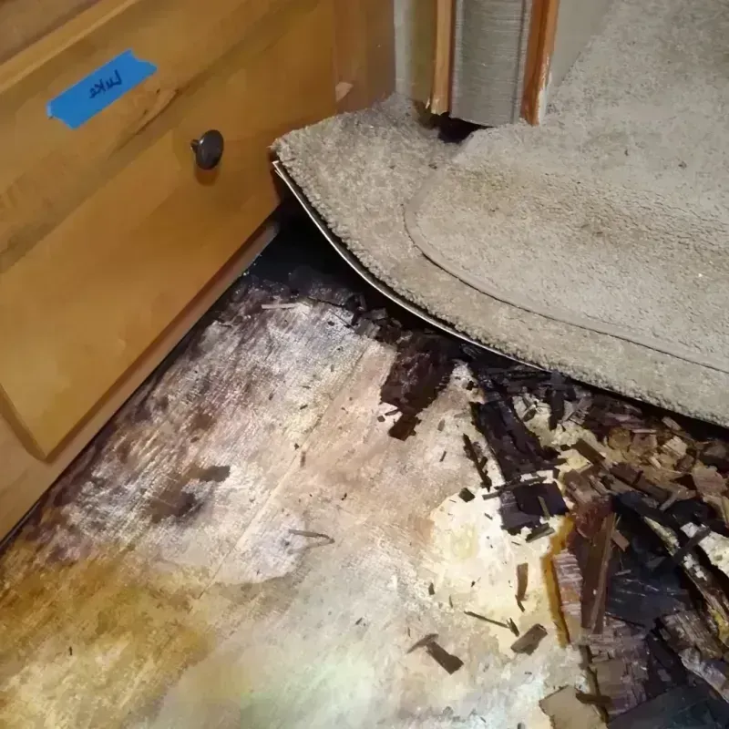 Wood Floor Water Damage in Clio, AL